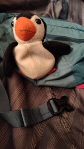 beanie penguin